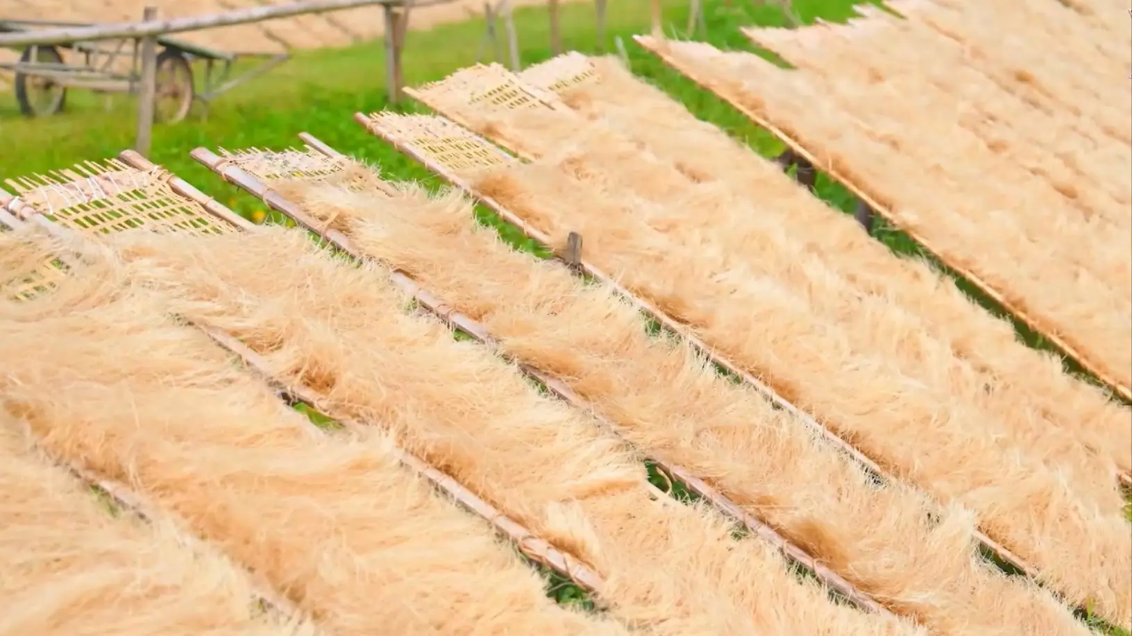 Miến Dương Kiên